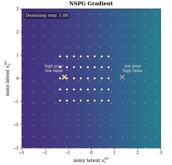 NSPG noisy-space gradient field